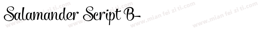 Salamander Script B字体转换